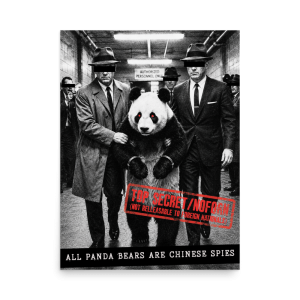 All Panda Bears Are Chinese Spies Poster